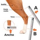 Toma de medidas para férula tarso para perro, gato y otros animales