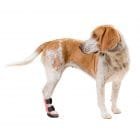 Férula de bota corta para perros y otros animales impresa en 3D