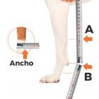 Taking measurements for carpal splint for dog, cat and other animals