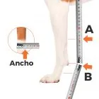 Taking measurements for carpal splint for dog, cat and other animals