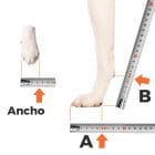 Taking measurements for front leg splint for dog, cat and other animals