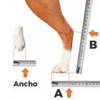 Measurement of rear leg splint for dog, cat and other animals
