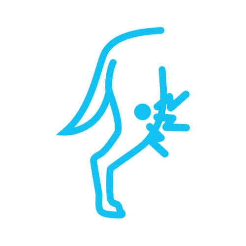 Protector de rodilla para perro alivia el dolor