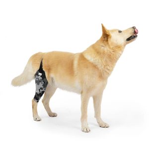 Protector de rodilla para perro diseño como poner