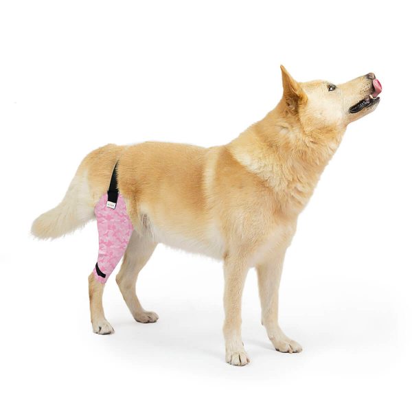 Protector de rodilla para perro color rosa diseño como poner