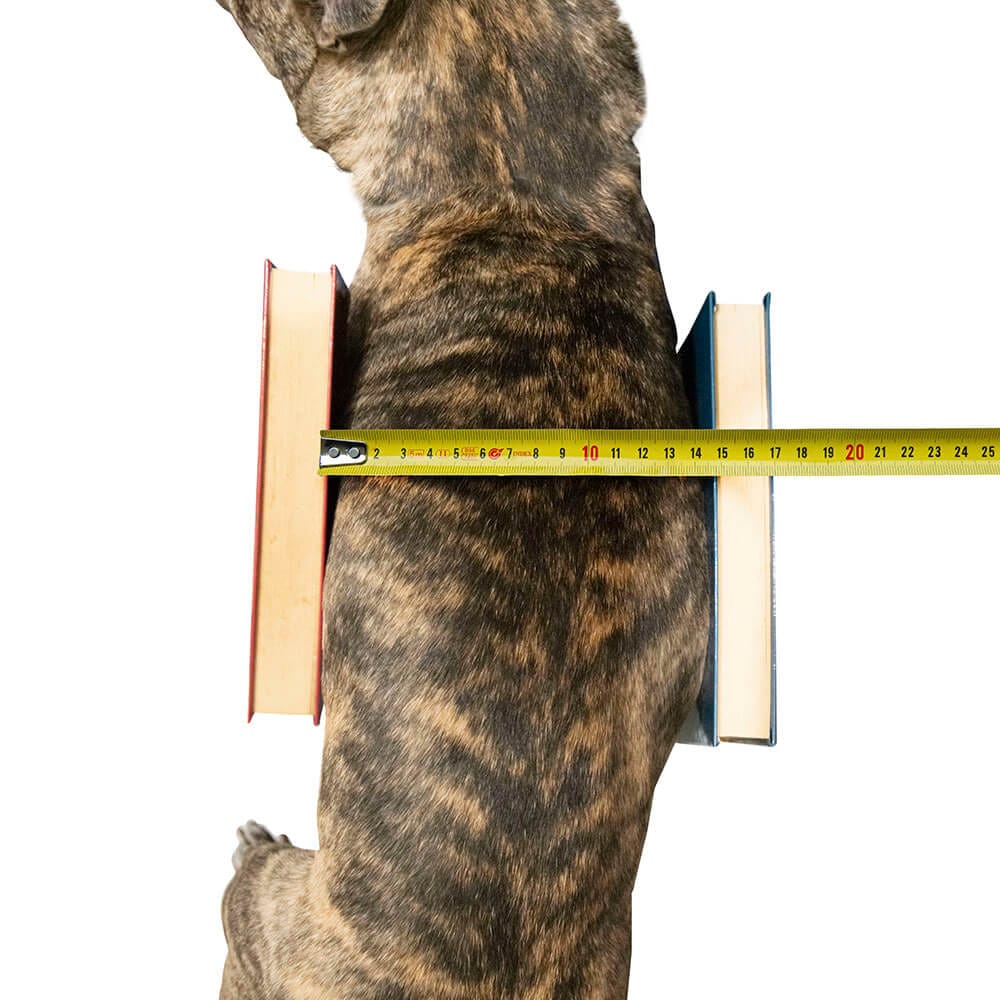 Toma de medidas Ancho