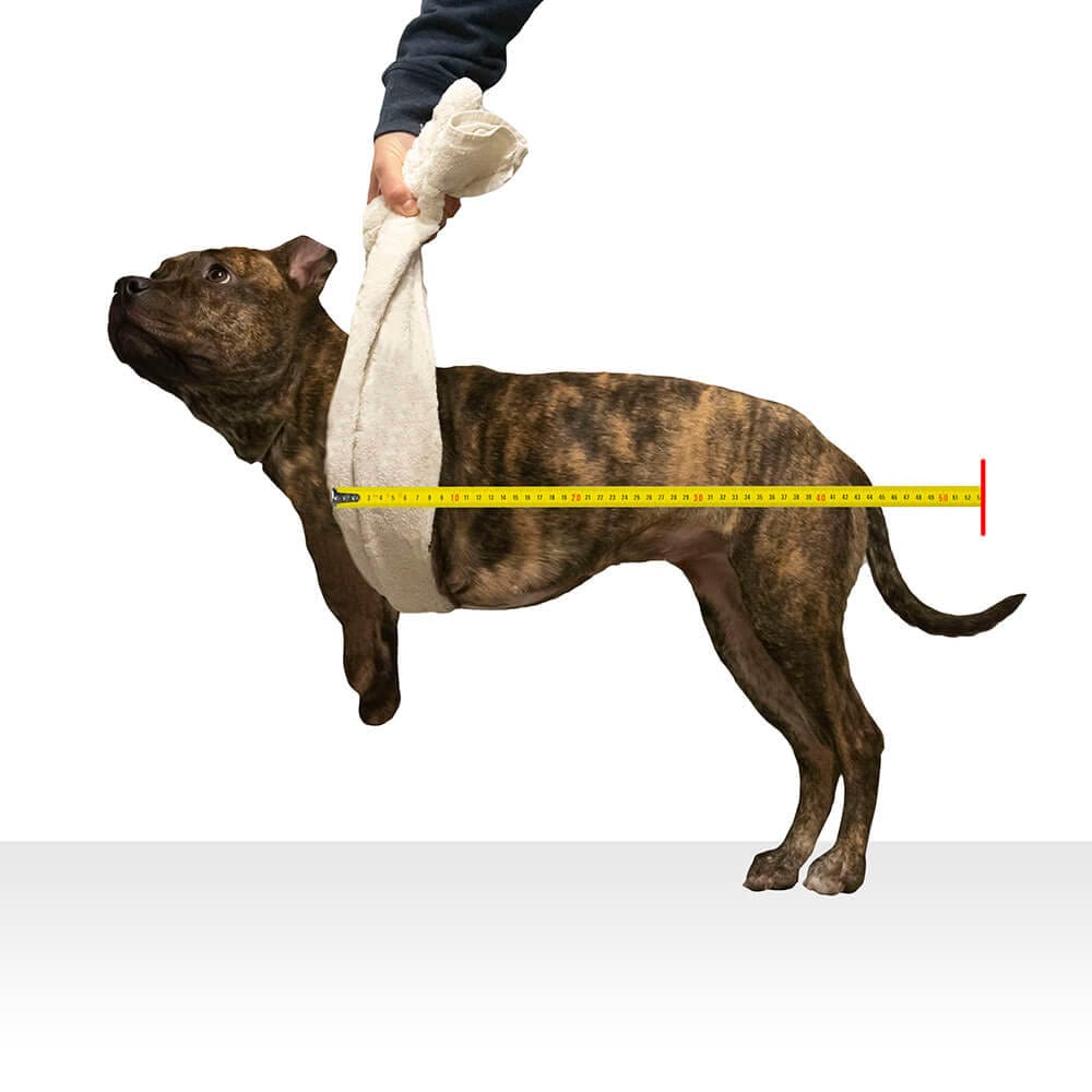 Toma de medidas longitud