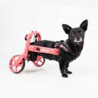 how much does a dog wheelchair cost
