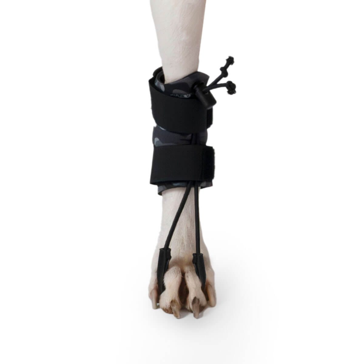 Detalle de la colocación del corrector propioceptivo en la pata de un perro