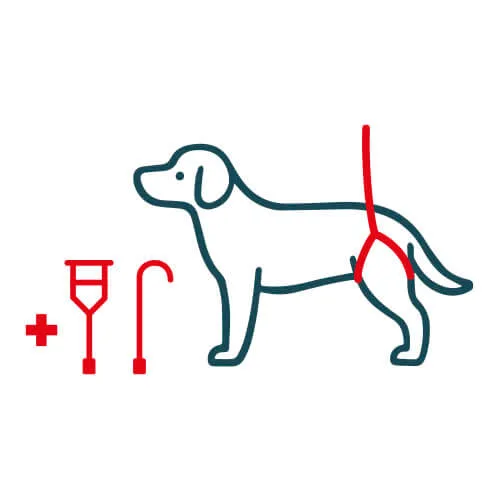 Icono de arnés trasero para perros en distintas etapas de rehabilitación