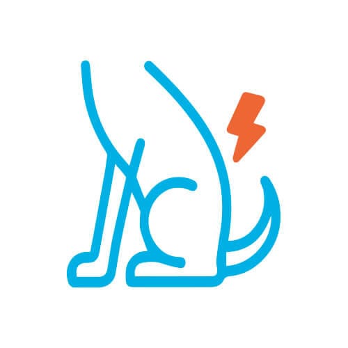 Icono de perro con rayo naranja en la cadera que representa debilidad muscular o artrosis