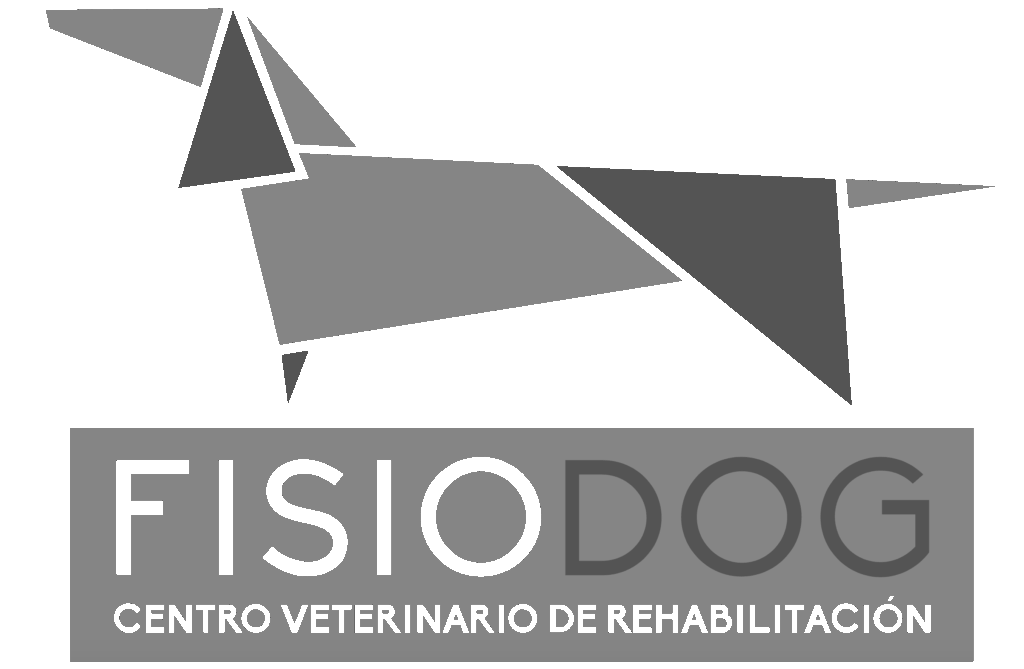 Fisiodog – Veterinary Rehabilitation Center and Mihapi Collaborator Fisiodog – Veterinary Rehabilitation Center and Mihapi Collaborator