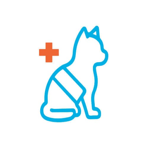 Icono de perro con vendaje que representa recuperación postoperatoria con férula Mihapi