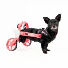Silla de ruedas trasera Mihapi personalizada con alitas decorativas para perro pequeño