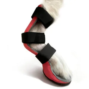 Férula ortopédica para perro hecha a medida según molde personalizado
