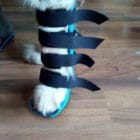 Detalle de soporte ortopédico delantero para perros