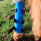 Detalle de férula para tarso para perro con ajuste técnico